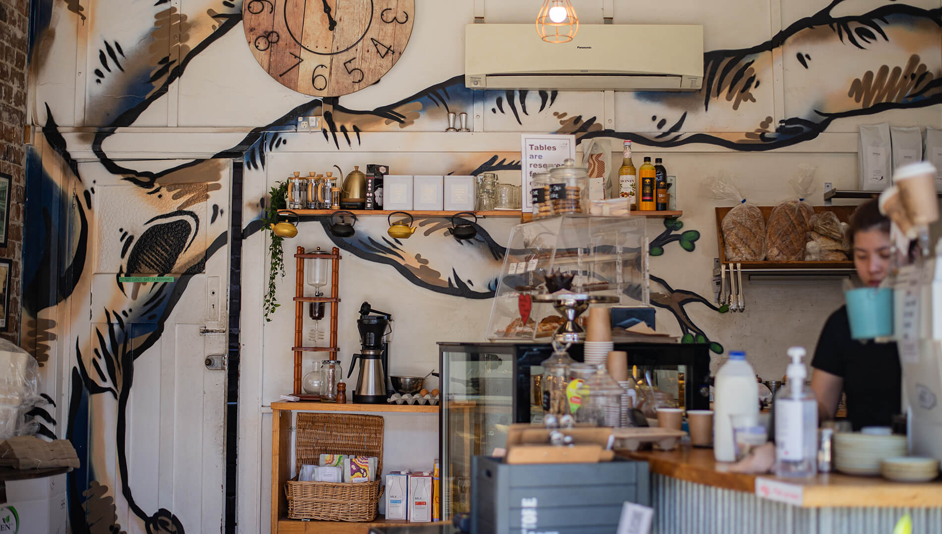 CoLive Plus Rockdale